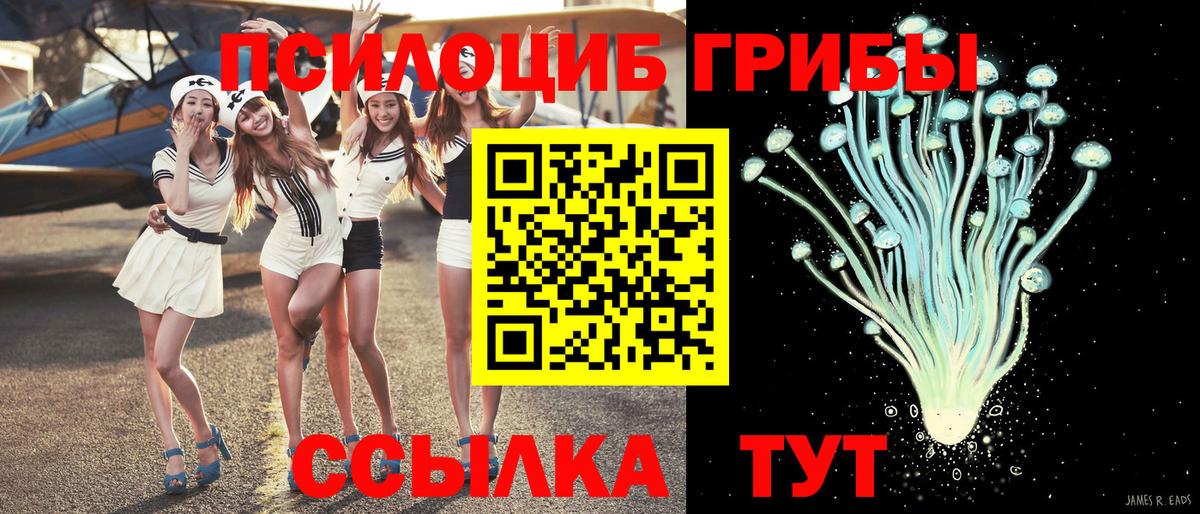 Галлюциногенные грибы GOLDEN TEACHER Реутов
