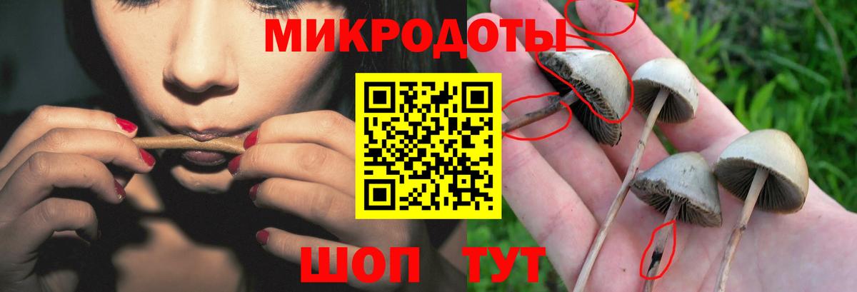 Реутов  Псилоцибиновые грибы Psilocybe  Вход с VPN 